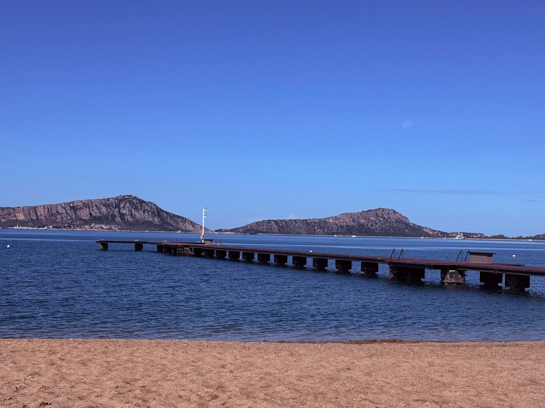 W科斯塔纳瓦里诺酒店主图