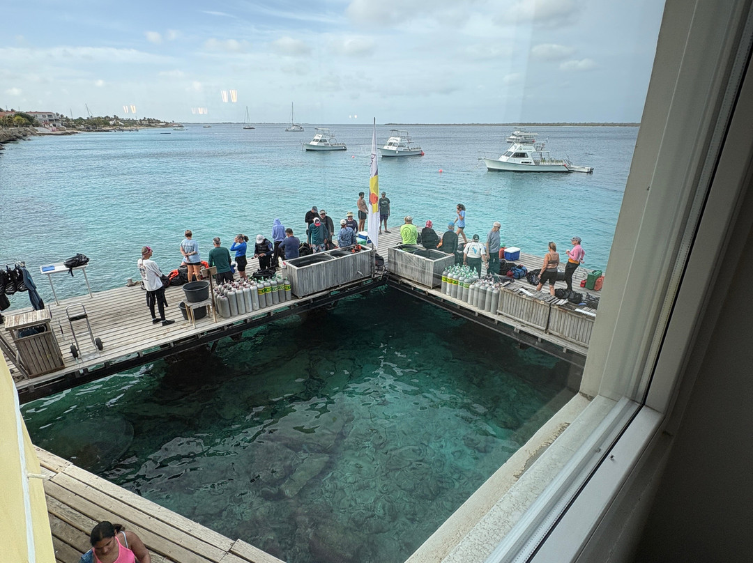 Buddy Dive Water Sports-Kralendijk必去景点