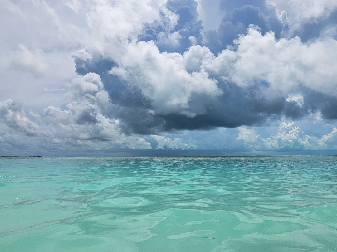 Coco Cay-Berry Islands必去景点