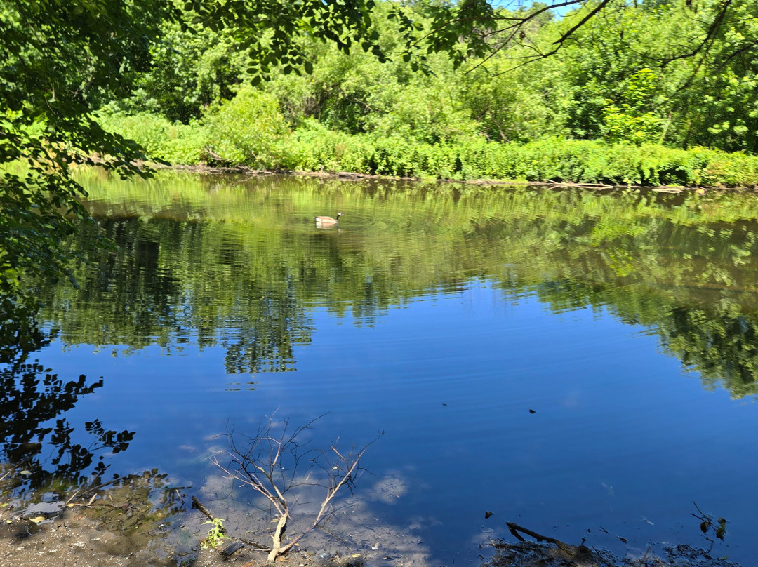 Bronx River Pathway-Bronxville必去景点
