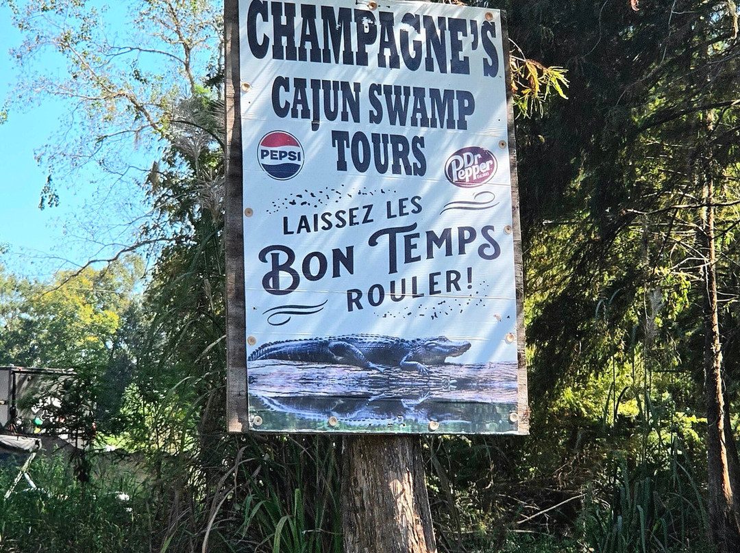 Champagne's Cajun Swamp Tours-布里奥克斯桥必去景点