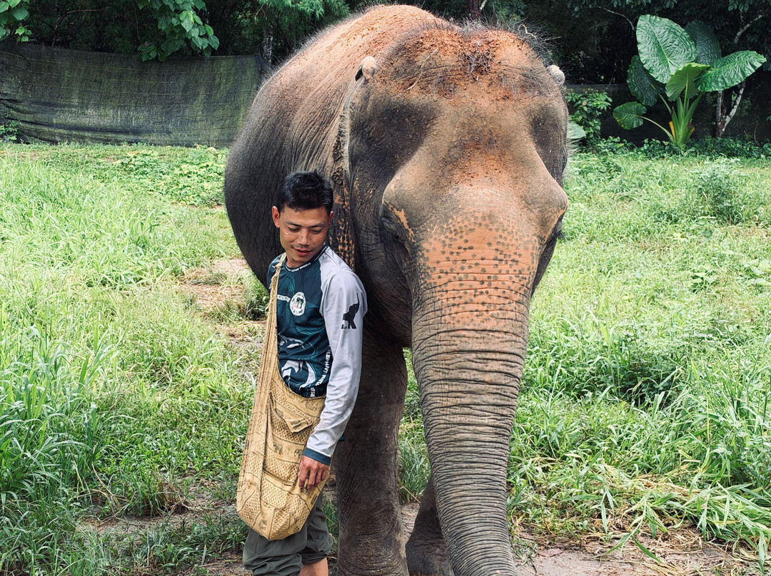 Phuket Elephant Nature Reserve-他朗必去景点