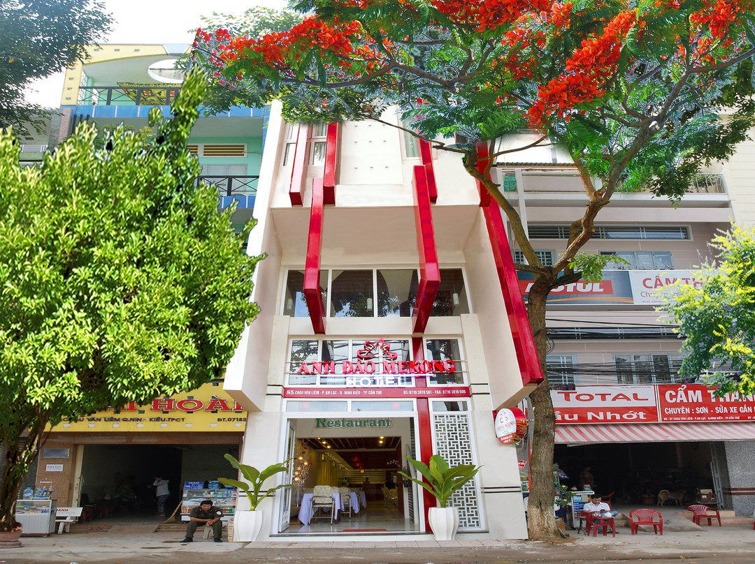 芹苴酒店住宿-Anh Dao Mekong Hotel