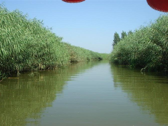 安新县旅游景点-白洋淀之窗