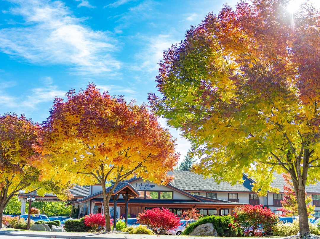 Icicle Village Resort主图