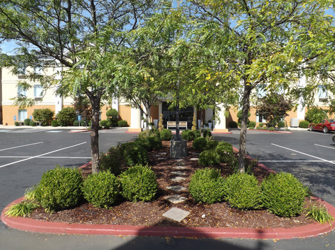 （尼古拉斯维尔）洲际智选假日酒店列克星敦西南