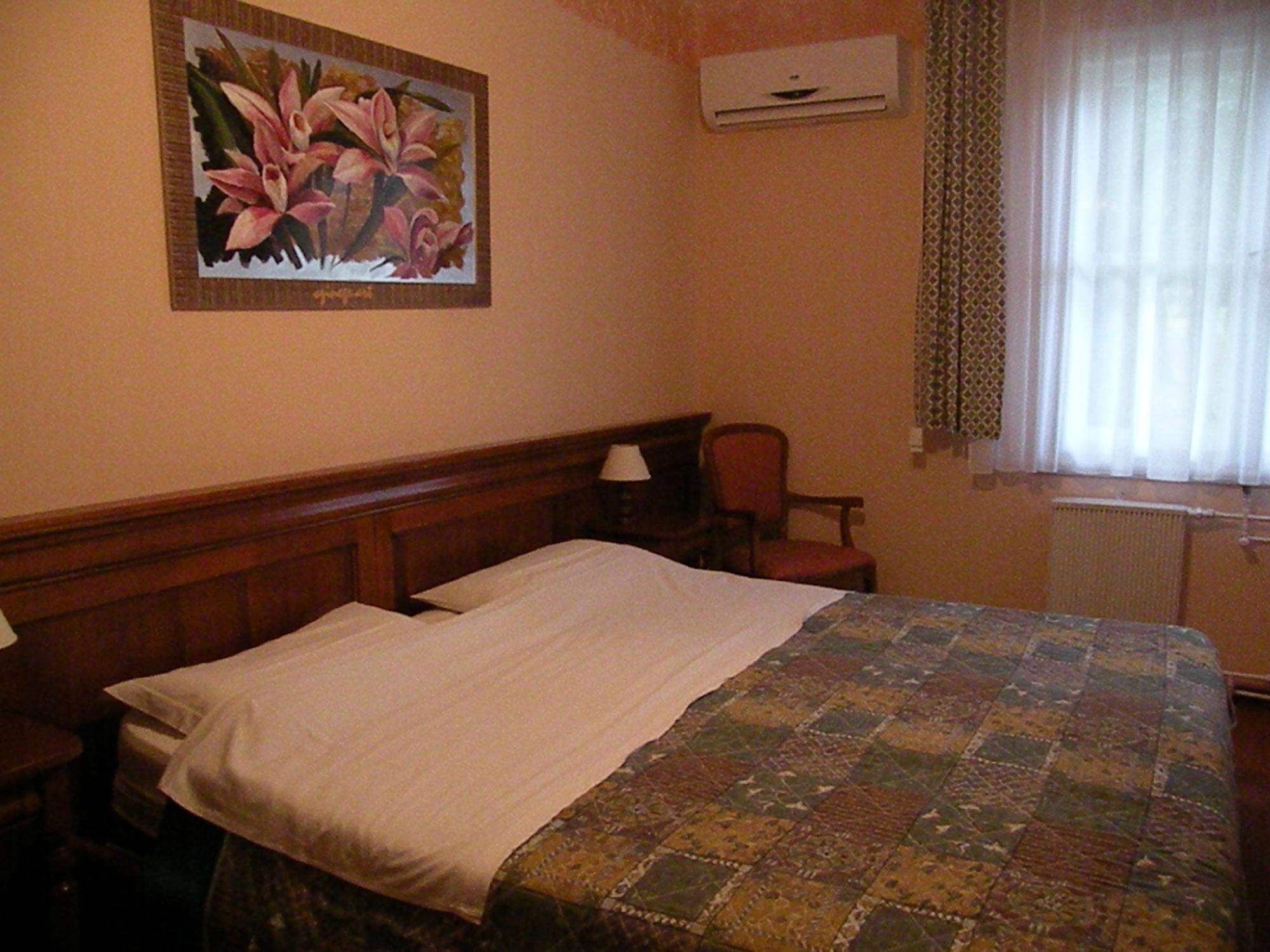 Sir David Schlosshotel-客卧