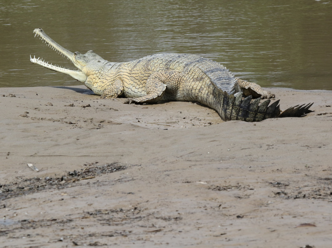 West Nepal Adventure Tourism