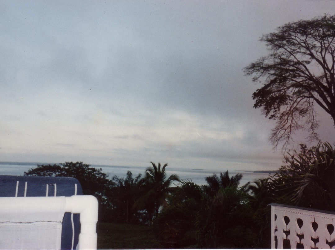 Shanklands Rainforest Resort