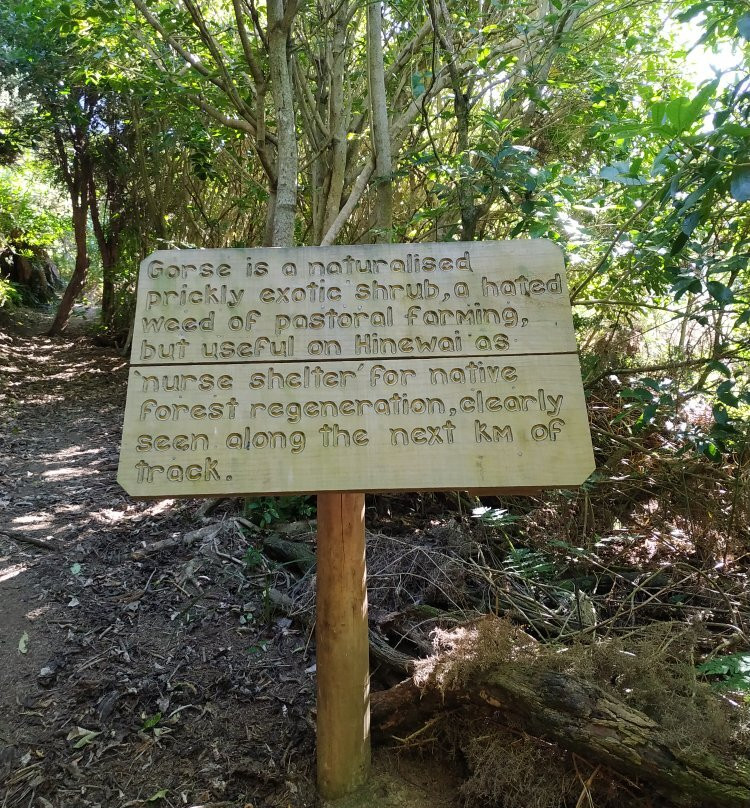 Banks Peninsula Track-阿卡罗阿必去景点