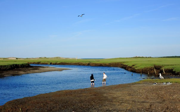 Sandy Neck Beach景点图片