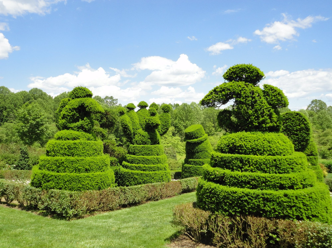 Ladew Topiary Gardens景点图片