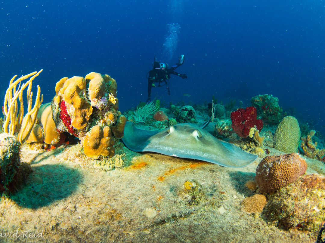 Rhone National Marine Park景点图片