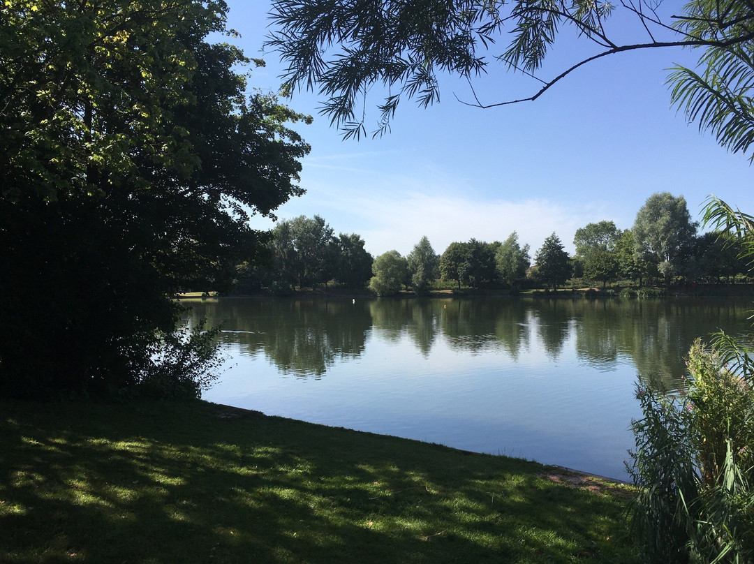Needham Lake景点图片