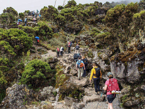 Kilimanjaro Elite Tours-莫西必去景点