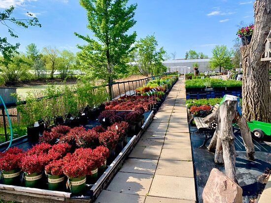 All Seasons Garden Center景点图片