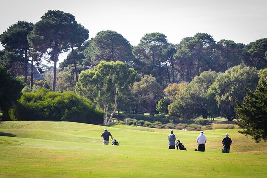 Collier Park Golf Course景点图片