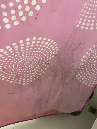 Nevskiye Zvezdy主图