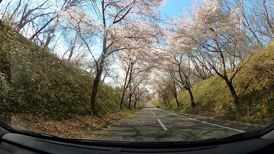 Miharu Dam, Lake Sakura-三春町必去景点