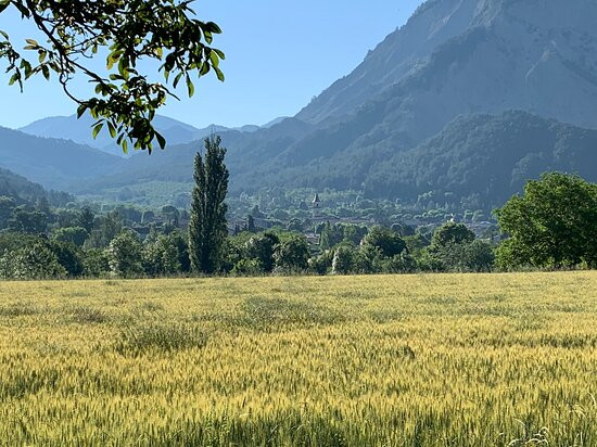 Ferme des Noyers主图