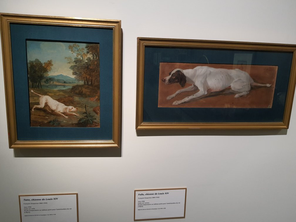 Musée Promenade景点图片
