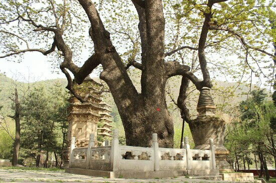 潭柘寺-北京市必去景点