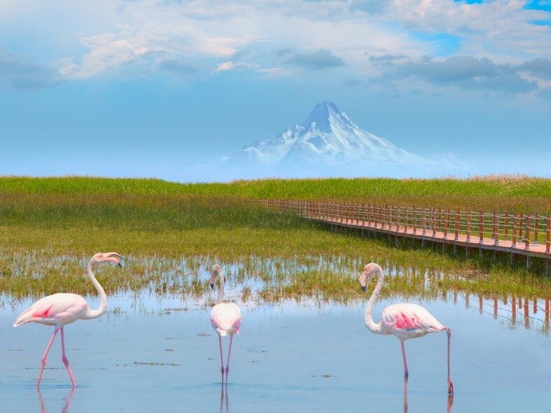 Sultan Marshes National Park景点图片