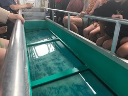 Glass Bottom Boat景点图片