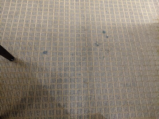 Comfort Inn & Suites Chattanooga-East Ridge主图