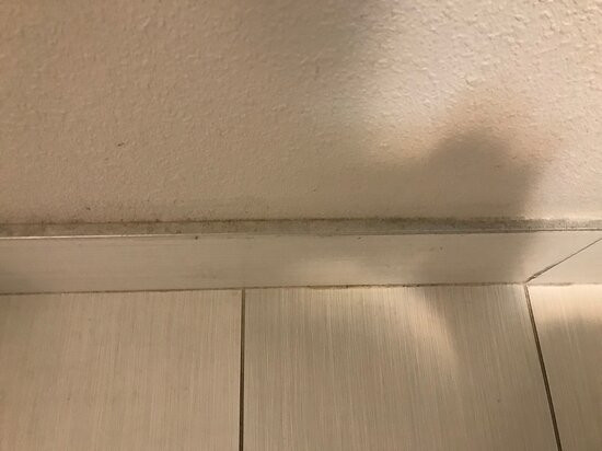 霍普金斯维尔费尔菲尔德旅馆&套房酒店主图