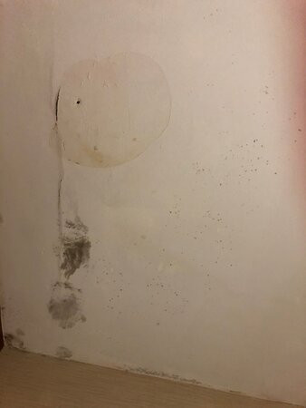 Best Western Allentown Bethlehem Lehigh Valley Inn & Suites主图