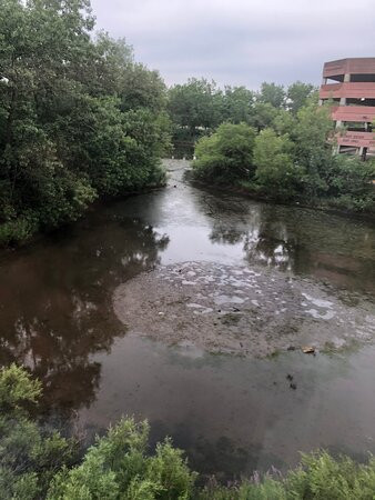 Staybridge Suites Chicago-Oakbrook Terrace by IHG主图