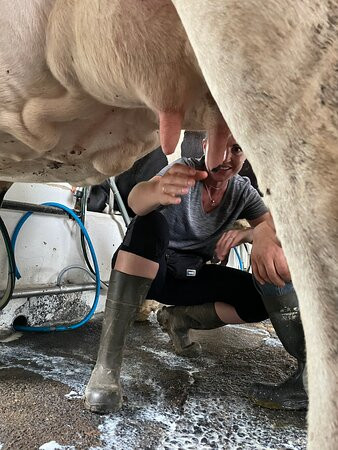 Âmago Wellness Farm景点图片