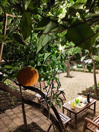 Il Giardino Di Tonia Bed&garden主图