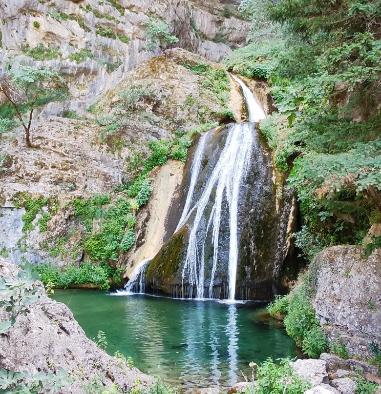 Nacimiento de Rio Frio景点图片