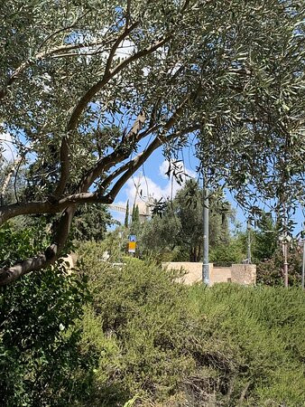 Lions Fountain-耶路撒冷必去景点