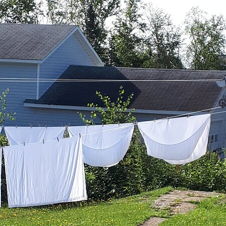 Motel 7 Inn & Suites Bathurst主图