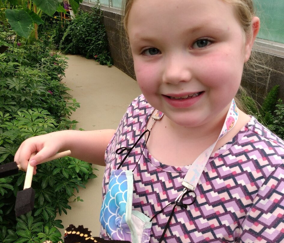 Dahlonega Butterfly Farm-达洛尼加必去景点