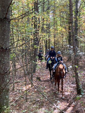 Appalachian Horse Adventures景点图片