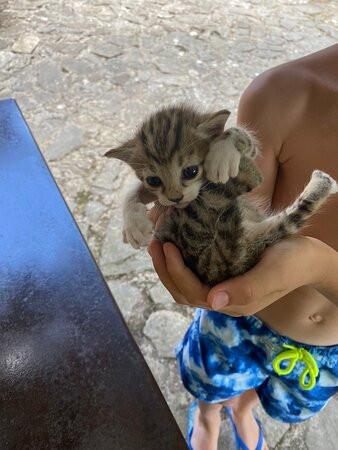 Agriturismo Paradiso41主图
