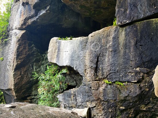 Greig's Caves景点图片
