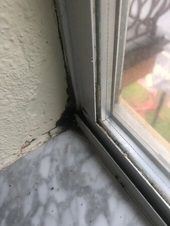 Homewood Suites By Hilton Sarasota主图