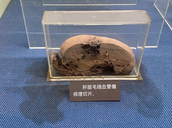 上海公安博物馆景点图片
