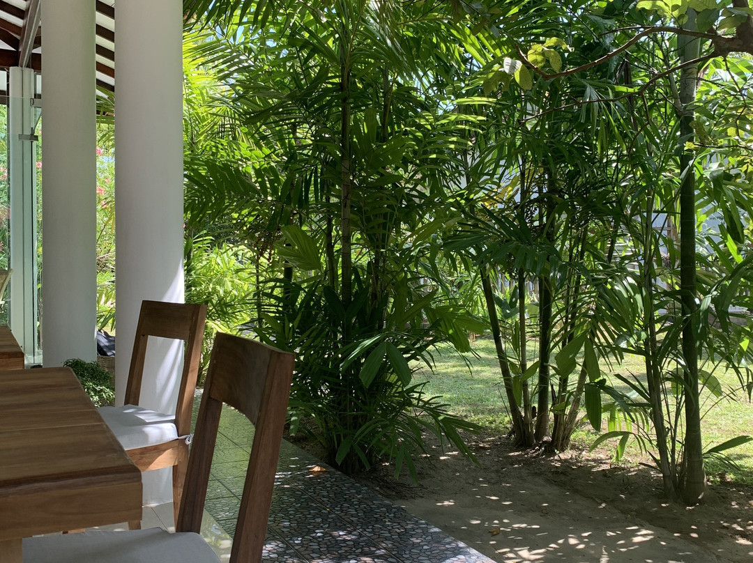 Jackie's Guest House