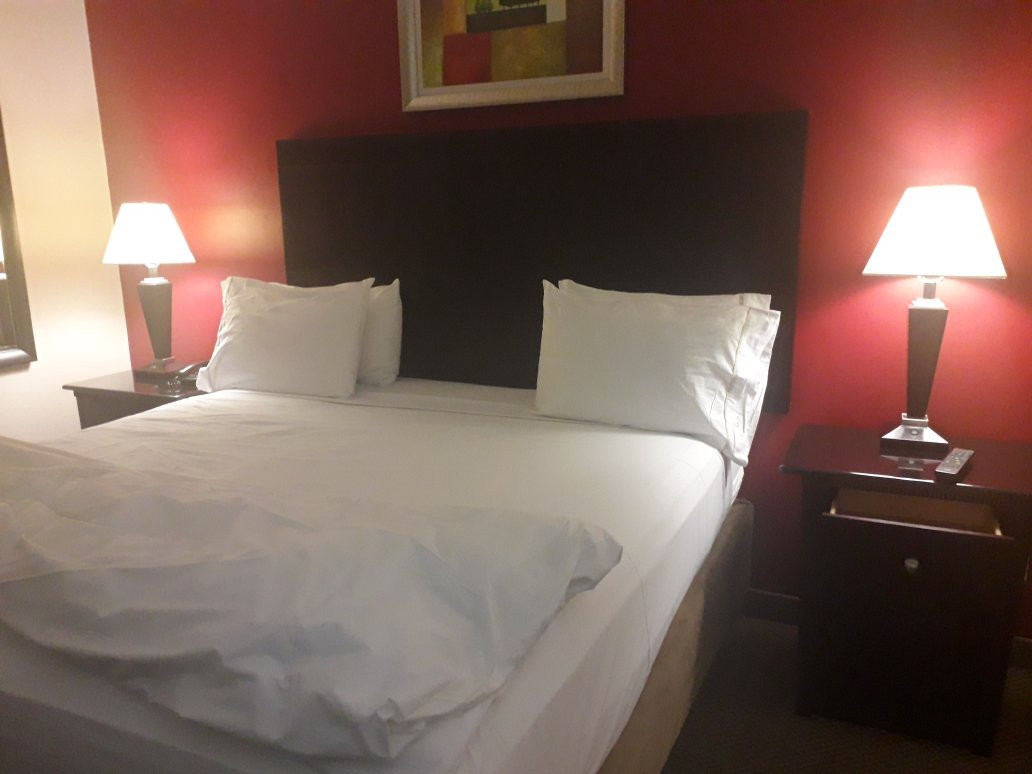 Hampshire Hotel主图