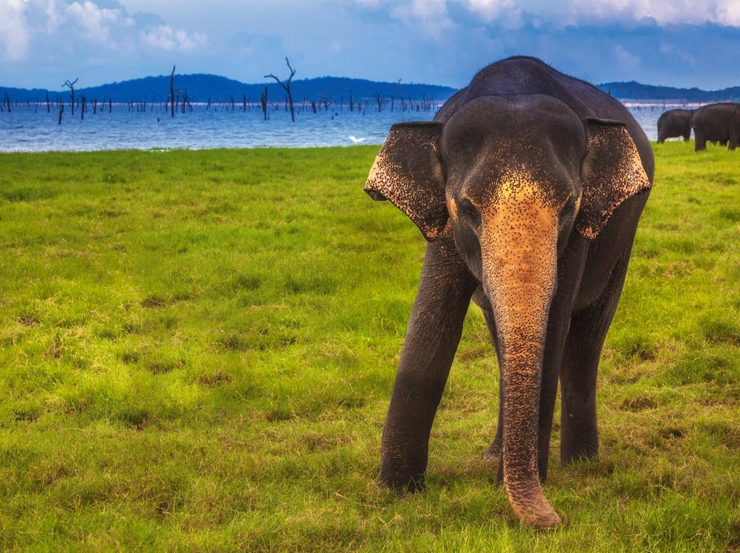 Summer Dew Tours-加勒必去景点