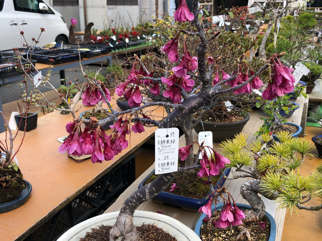 Ueno Green Club-Uenokoen必去景点