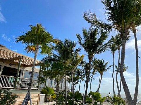 Little Palm Island-餐饮