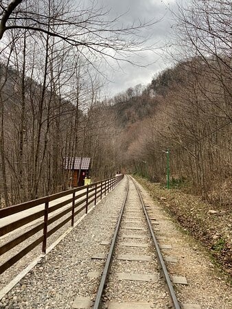 Narrow-gauge Railway in Guamka Gorge景点图片