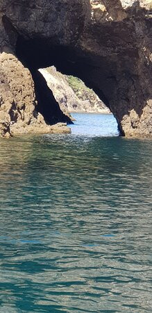 Bay of Islands Snorkelling Ltd景点图片
